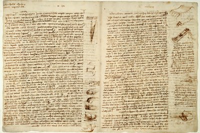 The Codex Hammer nebo Codex Leicester, 1508-12 od Leonardo da Vinci