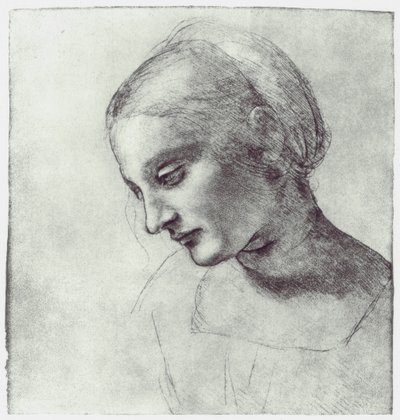 Hlava Madony, c1484-1486 od Leonardo da Vinci
