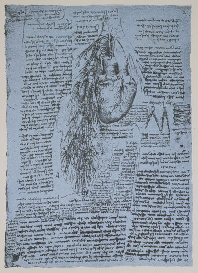 Srdce a průduškové tepny, faksimile Windsorské knihy (pero a inkoust na papíře) od Leonardo da Vinci