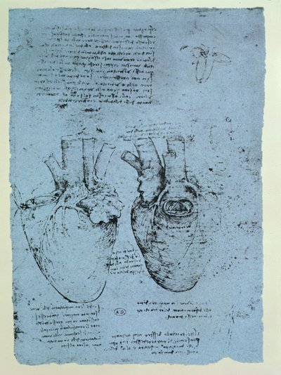 Srdce, faksimile knihy Windsor (pero a inkoust na papíře) od Leonardo da Vinci