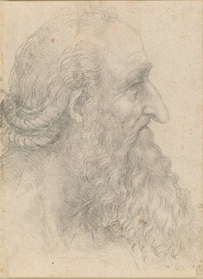 Hlava starého vousatého muže, asi 1517. od Leonardo da Vinci