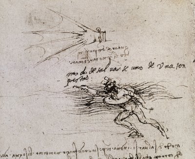 Palma a bóje, Codex Atlantic od Leonardo da Vinci