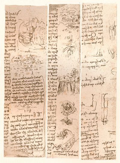 Tři kresby, c1472-c1519 1883 od Leonardo da Vinci