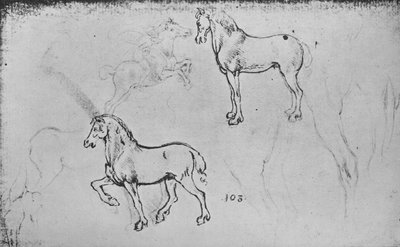 Dvě studie koní, jeden cválajícího jezdce a další nohy koní, c1480 1945 od Leonardo da Vinci
