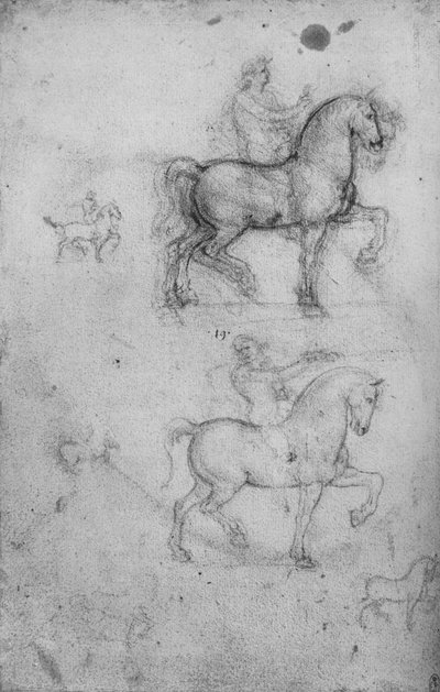 Dvě studie o koních a jezdcích a Menší studie o koních, c1480 1945 od Leonardo da Vinci