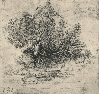 Dva stromy na břehu potoka, c1480 1945 od Leonardo da Vinci