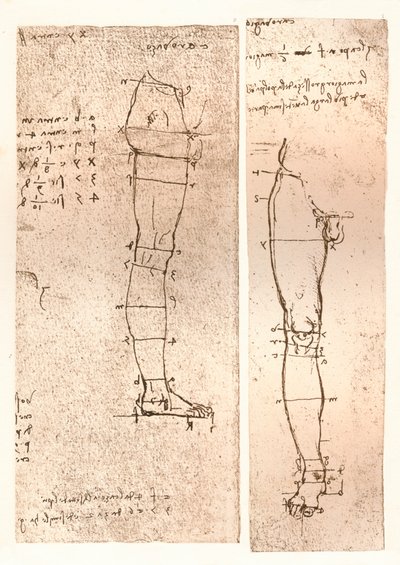 Dvě kresby ilustrující teorii proporcí lidské postavy, c1472-c1519 1883 od Leonardo da Vinci
