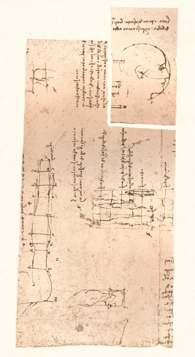 Dvě kresby ilustrující teorii proporcí lidské postavy, c1472-c1519 1883 od Leonardo da Vinci