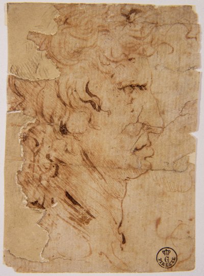 Neznámý obrázek od Leonardo da Vinci