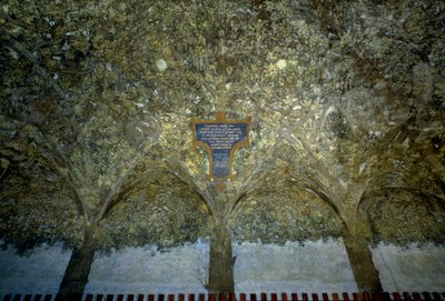Prokládání zeleniny. Tempera na stěně od Leonarda da Vinciho (1452-1519) (Leonard de Vinci) 1498 Sala delle Asse, Castello Sforzesco (Hrad vévodů Sforza) Milán od Leonardo da Vinci