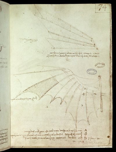 Křídlo. Letící strojní kreslení. Rukopis Leonarda De Vinciho (Leonardo da Vinci od Leonardo da Vinci