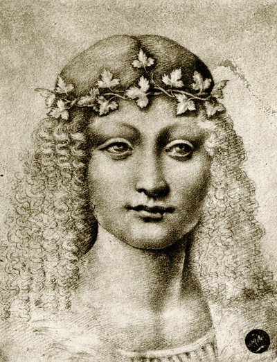 Hlava dívky ověnčená vinnou révou od Leonardo da school of Vinci
