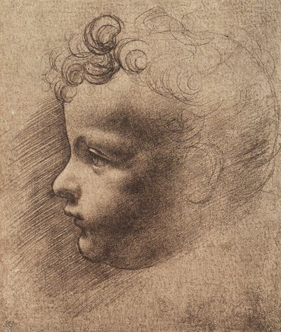 Hlava malého chlapce; kresba Leonarda da Vinciho. Louvre, Paříž od Leonardo da school of Vinci