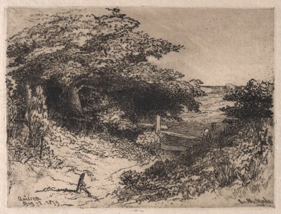 Quissett, Barnstable County, Massachusetts, 1879. od Leroy Milton Yale