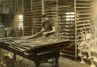 Patnáctiletý chlapec třídí listy cykasu ve společnosti Boston Floral Supply Company. od Lewis Wickes Hine