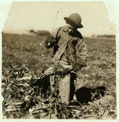Alex Reiber ve věku 7 let přelévá cukrovou řepu poté, co si „zahákl“ koleno, poblíž Sterling, Colorado, 1915 od Lewis Wickes Hine