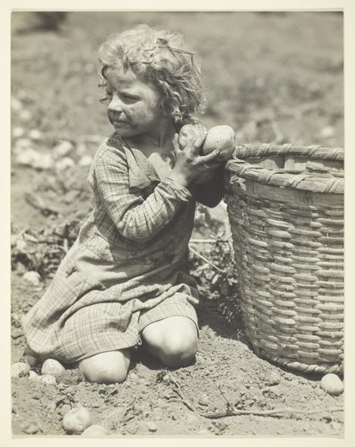 Dětská práce na farmě od Lewis Wickes Hine
