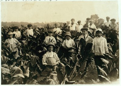 Goodrich Tobacco Farm, poblíž Gildersleeve, Connecticut, 1917 od Lewis Wickes Hine