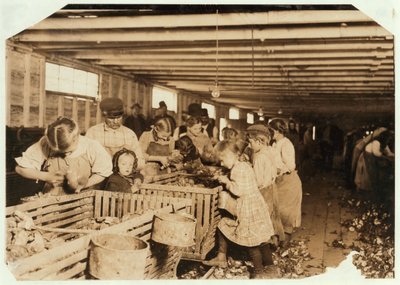 Rosy ve věku 8 let pracuje 14 hodin denně jako vyhazovač ústřic v Dunbar Cannery, Louisiana, 1911 od Lewis Wickes Hine