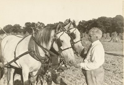 Bez názvu, ca. 1935. od Lewis Wickes Hine