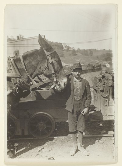 Mladý řidič v uhelném dole v Západní Virginii od Lewis Wickes Hine