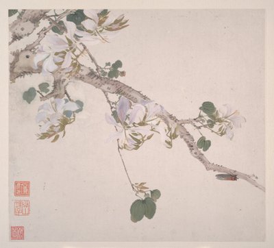 Hmyz a květiny, datováno 1865 (album o osmi listech; tuš a barva na papíře) od Lian Ju