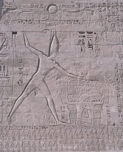 Řezby na stěně chrámu, Medinet Habu, Luxor, Egypt od Unbekannt Unbekannt