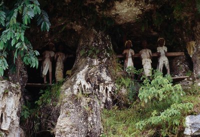Pohřební výklenky s postavami márnice Tau Tau, vesnice Marrante, Tana Toraja, ostrov Sulawesi, Indonésie od Unbekannt Unbekannt