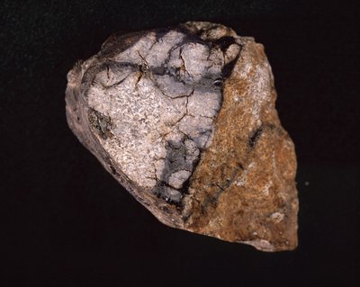 Meteorit nalezený v Indii v roce 1875 - Museum d