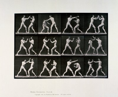 Nahí mužští sportovci v boxu, c 1872-1885 od Unbekannt Unbekannt