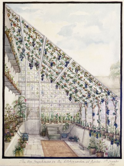 Dva hroznové domy v Kitchen Garden, Aynhoe od Lili Cartwright