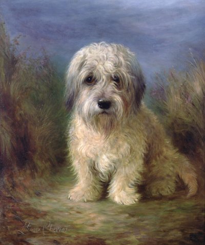Dandie Dinmont Terrier (olej na plátně) od Lilian Cheviot