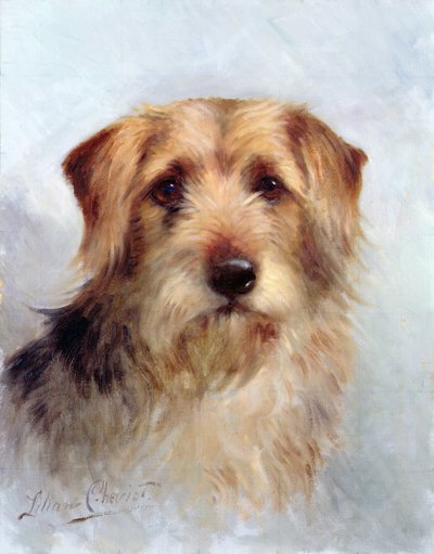 Jeden z rodiny od Lilian Cheviot