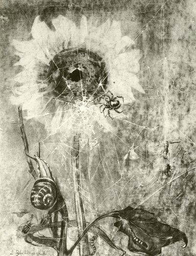 Víly (hlubotisk) od Lily Blatherwick