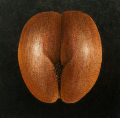 Coco de Mer, 2010 (akryl na plátně) od Lincoln Seligman