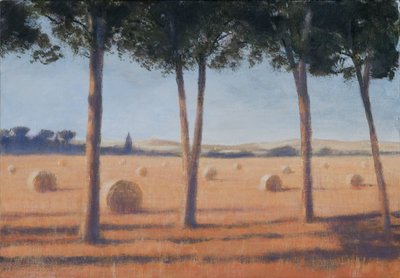 Hay Bales and Pines, Pienza, 2012 (akryl na plátně) od Lincoln Seligman