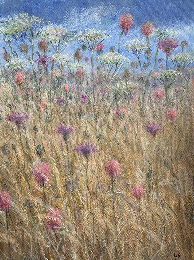 Scabious od Lincoln Seligman