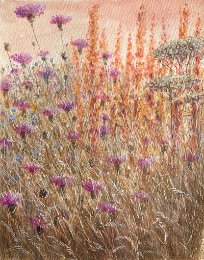 Scabious & Docks od Lincoln Seligman