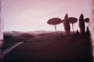Toskánská krajina, 1992 (akryl na papíře) od Lincoln Seligman