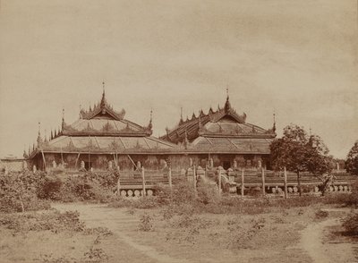 Amerapoora: Pyee road Kyoung od Linnaeus Tripe