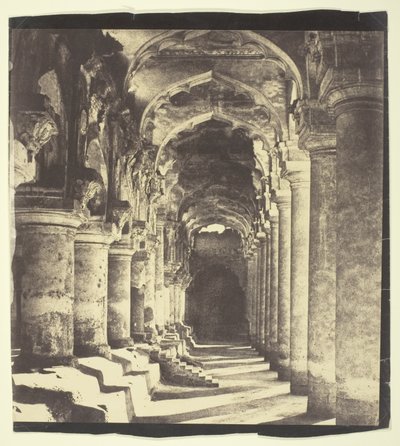 Arkáda v Quadrangle od Linnaeus Tripe