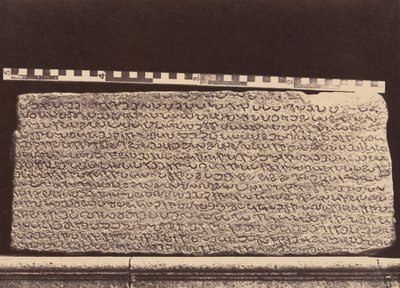 Elliotovy mramory, 1859 (foto) od Linnaeus Tripe