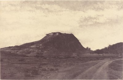 Namculdry: Dry and Tank od Linnaeus Tripe