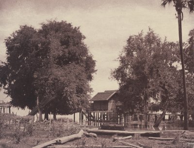 Tsagain Myo: Pohled poblíž řeky Irrawaddy od Linnaeus Tripe