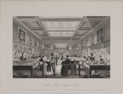 Pohled na Zoologickou galerii, Britské muzeum ukazující návštěvníkům, kteří si prohlížejí expozice, kolem roku 1850 (rytina) od Llewellyn (after) Jewitt