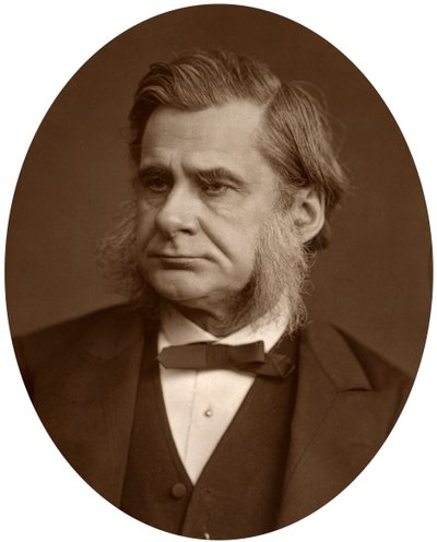 Profesor Thomas Henry Huxley, 1880. od Lock and Whitfield
