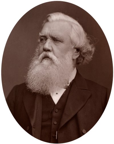 Right Hon Austen Henry Layard DCL, britský velvyslanec v Konstantinopoli, 1877. od Lock and Whitfield
