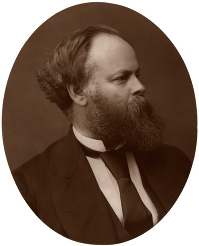 Samuel Plimsoll, Esq, MP, britský liberální politik a sociální reformátor, 1876. od Lock and Whitfield