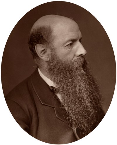 Sir Wilfrid Lawson , politik, poslanec za Carlisle, 1882. od Lock and Whitfield
