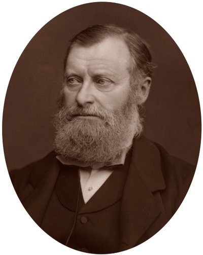 William Edward Forster MP, 1878. od Lock and Whitfield